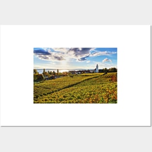 Sunset over Grape Orchards near Hagnau - Lake Constance Posters and Art